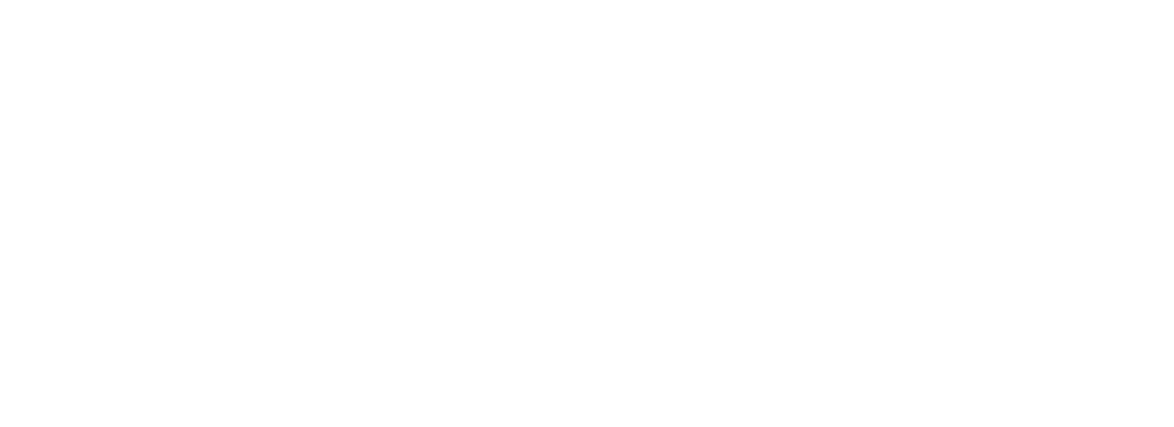 ReviewBounce Logo